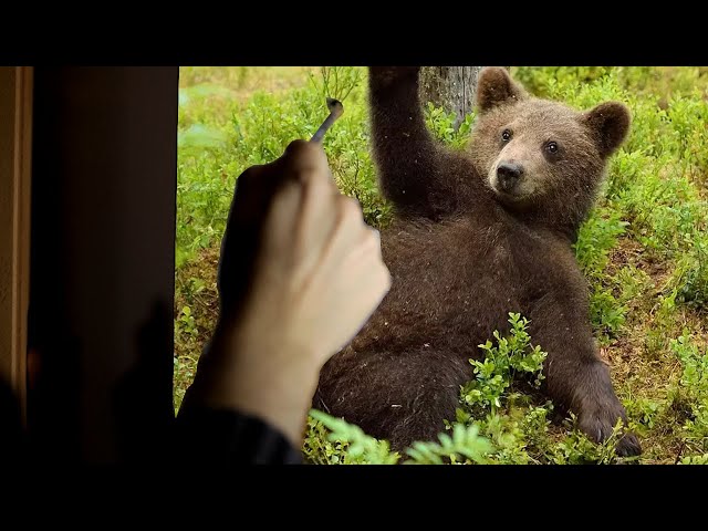 Oil painting a bear