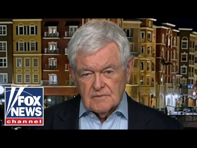 Newt Gingrich: Biden is violating the law every day