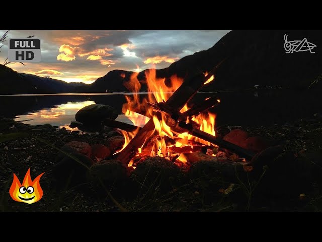 Lakeside Campfire with Relaxing Nature Night Sounds (HD)