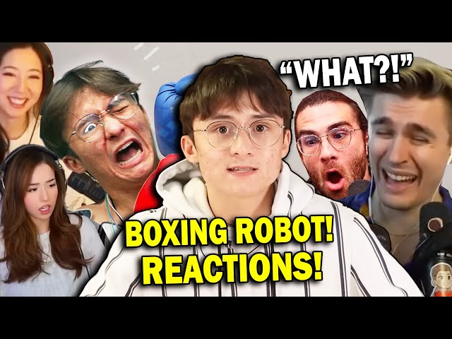 Everyone's Reaction To Michael Reeves Boxing Robot!