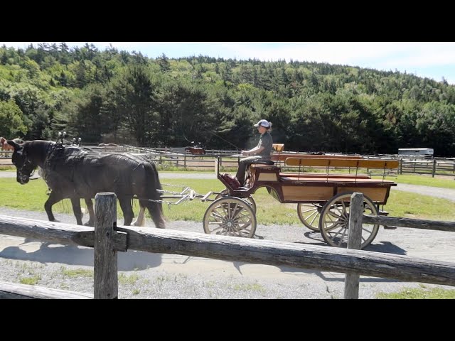 Amazing Acadia! Watch Xplorer Friends Hike, Drive and Carriage Ride on a Multi-day Acadia Adventure.