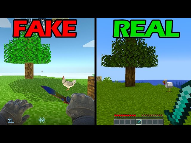 MINECRAFT: FAKE vs REAL