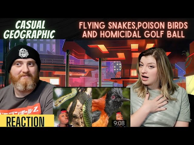 @mndiaye_97 Flying Snakes, Poison Birds and a Homicidal Golf Ball - HatGuy & Nikki react!