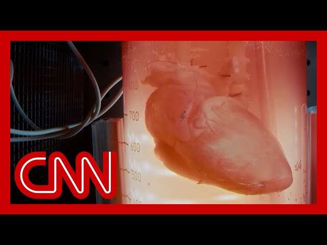 'Extraordinary': Gupta amazed by biologist's 'ghost' heart