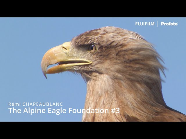 GFX100S: "The Alpine Eagle Foundation" Chapter 3 - Full Story x Remi CHAPEAUBLANC/ FUJIFILM