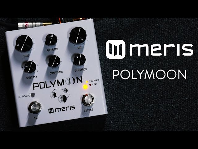 Meris Polymoon Delay Demo (Stereo - Headphones please)