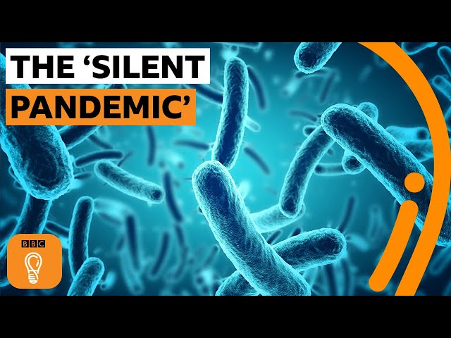 Antibiotic resistance explained | The Royal Society