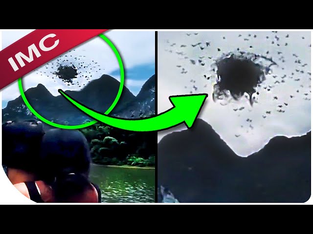Mysterious Creatures That Are Freaking The Entire Internet Out