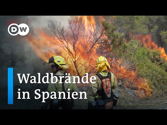 Spanien im Griff der Waldbrände | Fokus Europa