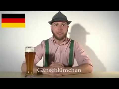 German Language Compared to other Languages