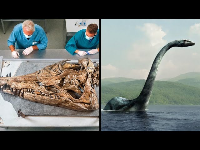 Scientists Colossal Discovery Turns Skeptics Into Believers (Loch ness Unearthed)