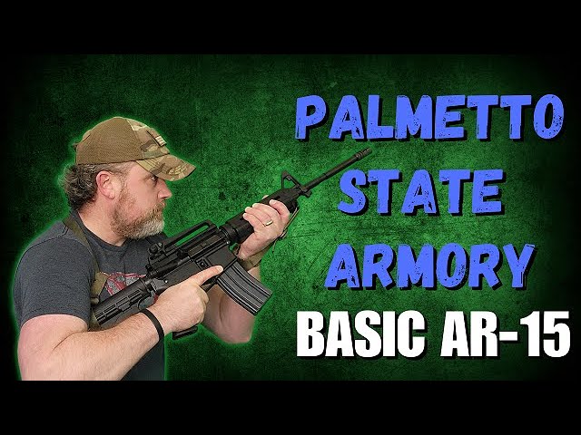 Why EVERYONE Should Have A Basic AR15