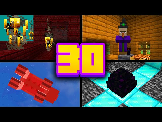 30 RZECZY, których MOGŁEŚ nie WIEDZIEĆ o Minecraft | #8