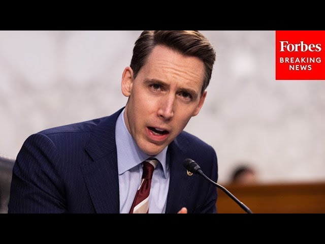 'Maybe This Will Refresh Your Memory': Josh Hawley's Top Moments From The Past Year | 2021 REWIND