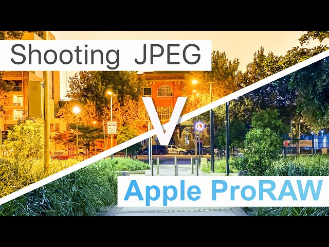 Apple ProRAW vs JPEG for EVERYDAY photos. Is ProRAW worth the trade off?!