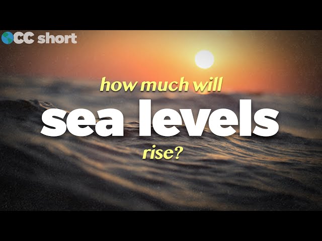 How Much Will Sea Level Rise? #shorts