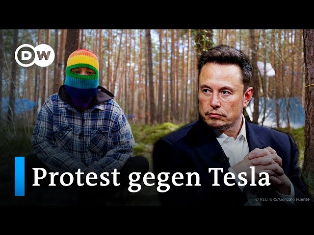 Streit um Elon Musks Tesla-Werk bei Berlin | DW Reporter