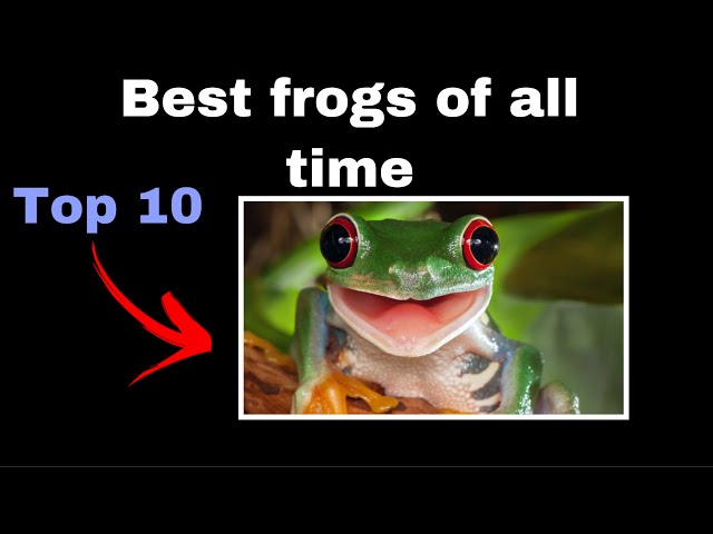 Top 10 Best FROGs of all time
