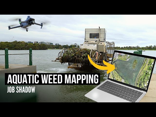 JOB SHADOW: Aquatic weed mapping with a drone! Mavic 3 Enterprise Process + Results