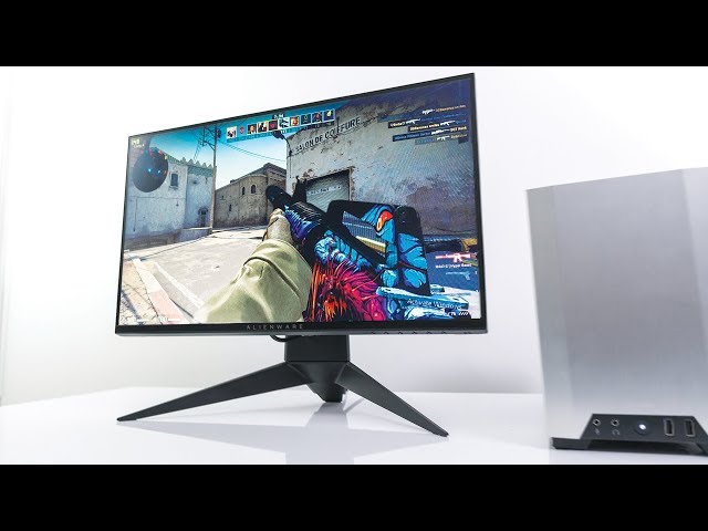 Experiencing 240Hz Gaming ft. Alienware AW2518HF!