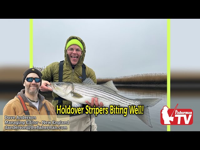 December 7th, 2023 New England Video Fishing Forecast with Dave Anderson