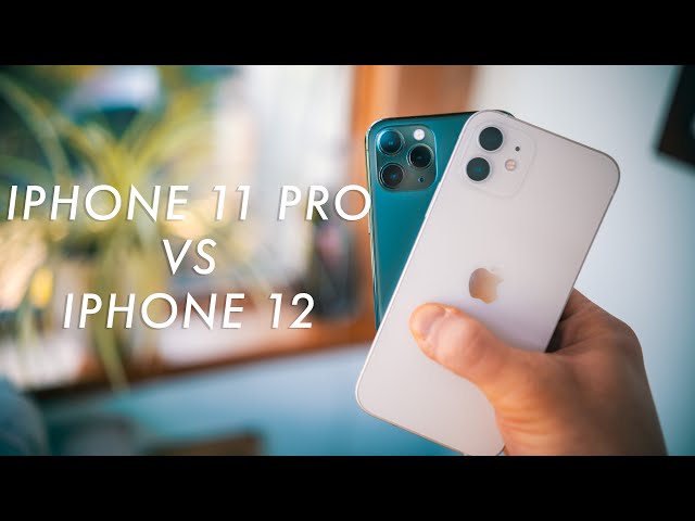 iPhone 11 Pro vs 12 Camera test! Is the iPhone 12 better?