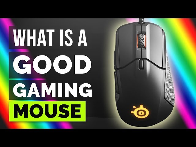 What is a GOOD GAMING MOUSE? SteelSeries Rival 310 review in Hindi