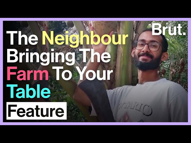 The Neighbour Bringing The Farm To Your Table