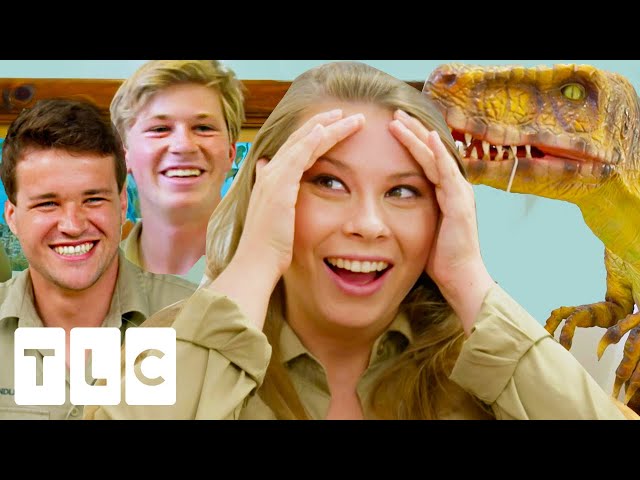 Robert's HILARIOUS Surprise for Bindi: A Very Unusual Baby Nursery | Crikey! It's a Baby
