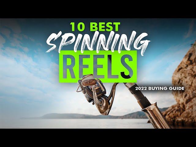 BEST SPINNING REELS: 10 Spinning Reels (2023 Buying Guide)