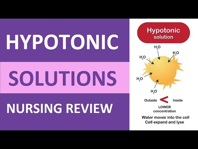 Hypotonic Solution Nursing Review: IV Fluids Explained NCLEX