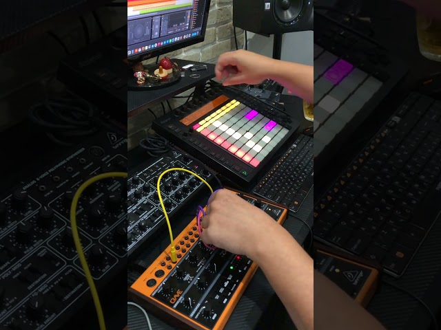 Synth Vibrations: Live Power with Behringer Pro-800 & Crave