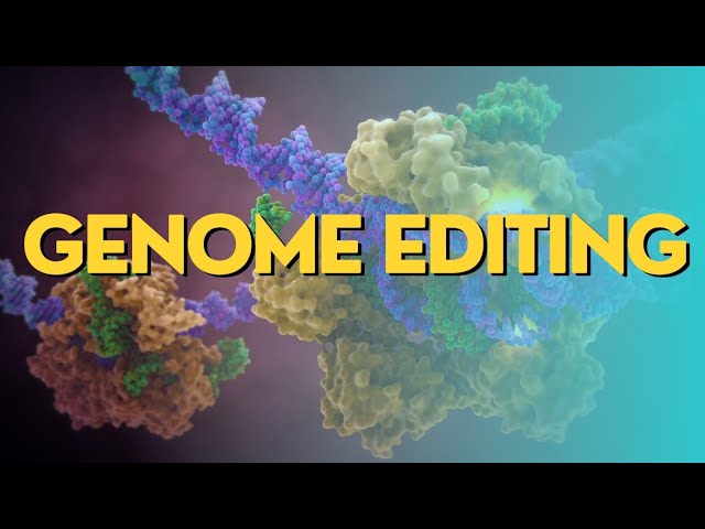 Genome Editing: Unraveling the Future with Curiousmind Academy.