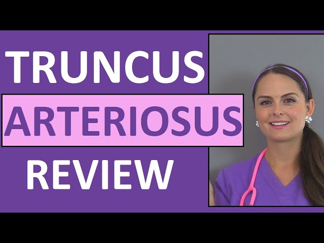 Truncus Arteriosus Symptoms, Causes, Pediatric Nursing NCLEX Review