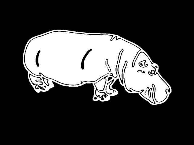 A Negative Hippopotamus
