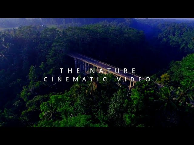 The Nature - A Cinematic Video