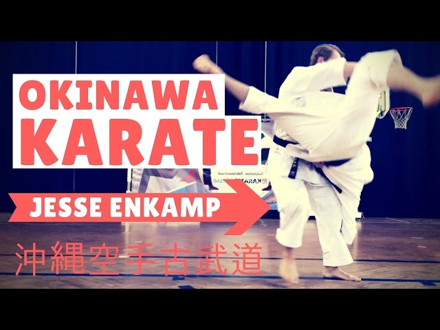OKINAWA KARATE SEMINAR | Bunkai, Self-Defense & Kobudo — Jesse Enkamp