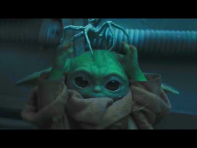 Baby Yoda Hates Spiders