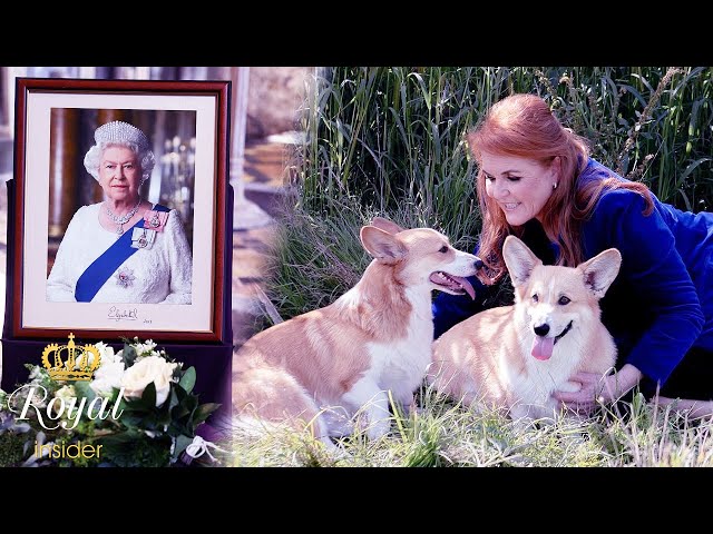 Sarah Ferguson Releases Special Message About late Queen's Cherished Corgis @TheRoyalInsider