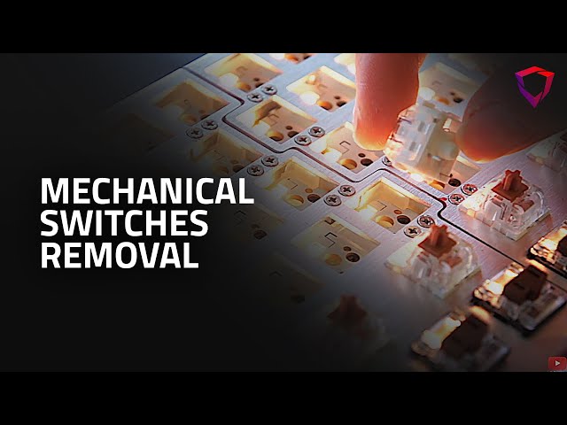 How to remove and replace mechanical switches on a Dygma Raise keyboard