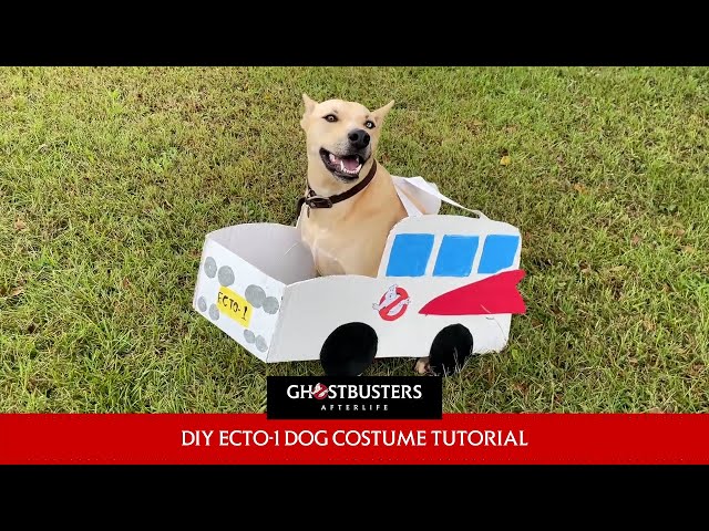 GHOSTBUSTERS: AFTERLIFE – Ecto-1 Halloween Dog Costume