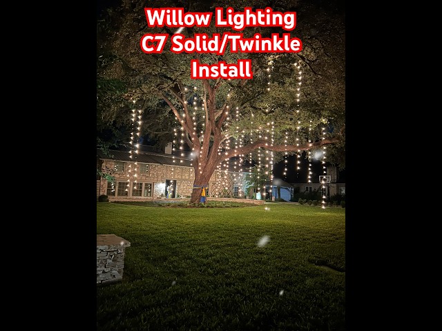 Willow Lighting-C7 Incandescent Solid/Twinkle Strands #tistheseason #holiday #christmas #subscribe