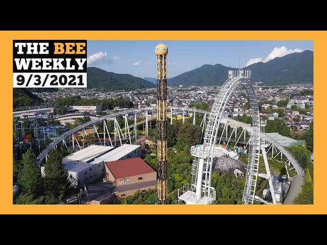 THE BEE WEEKLY: Punk Rock Nature and the Roller Coaster of Doom