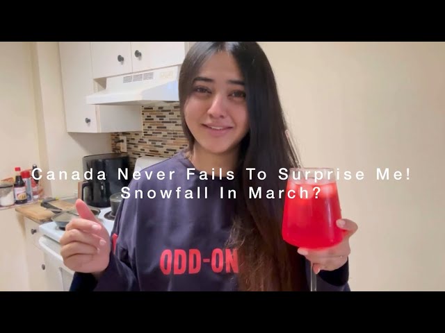 Unexpected Snowfall In Toronto | It’s My Week Off | Canada Vlogs