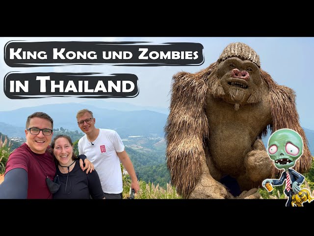 Roller Tour mit @DiscoverThailand durch die Wildnis von Chiang Mai Thailand