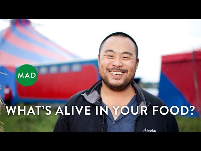 Food Microbiology: An Overlooked Frontier | David Chang