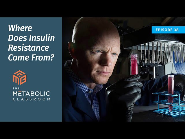 Where Does Insulin Resistance Come From? with Dr. Ben Bikman
