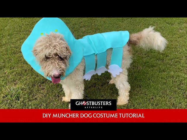 GHOSTBUSTERS: AFTERLIFE – Muncher Halloween Dog Costume