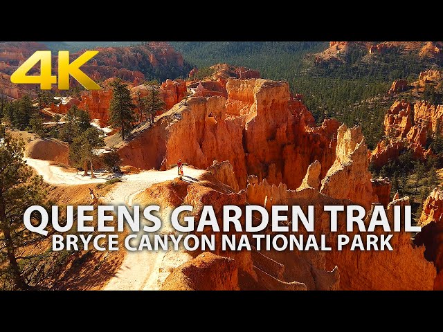 BRYCE CANYON NATIONAL PARK - Queens Garden Trail, Utah, USA, Hiking, Travel, 4K UHD