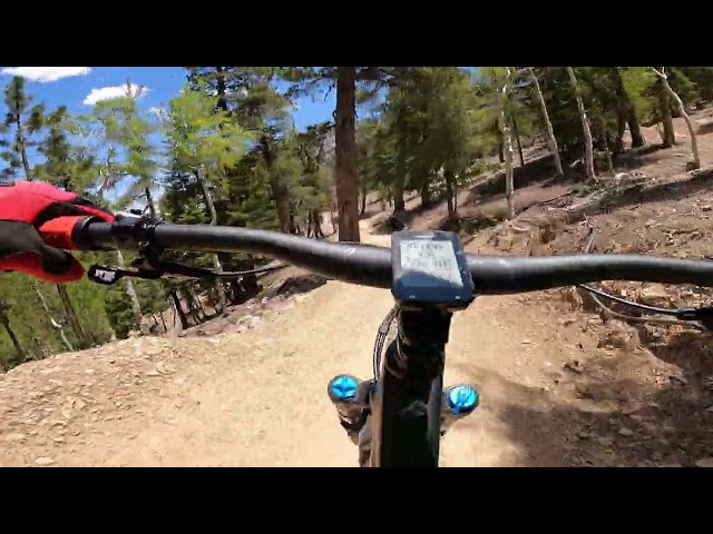 Follow Friday with Sasha from the Traverse Cowgirls - Lee Canyon Bike Park Las Vegas
